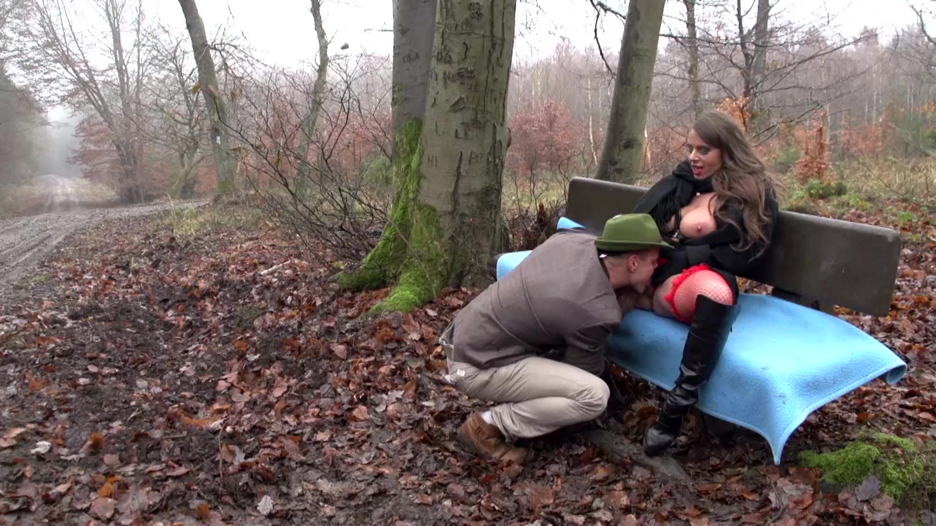 V�gel(n) im Wald