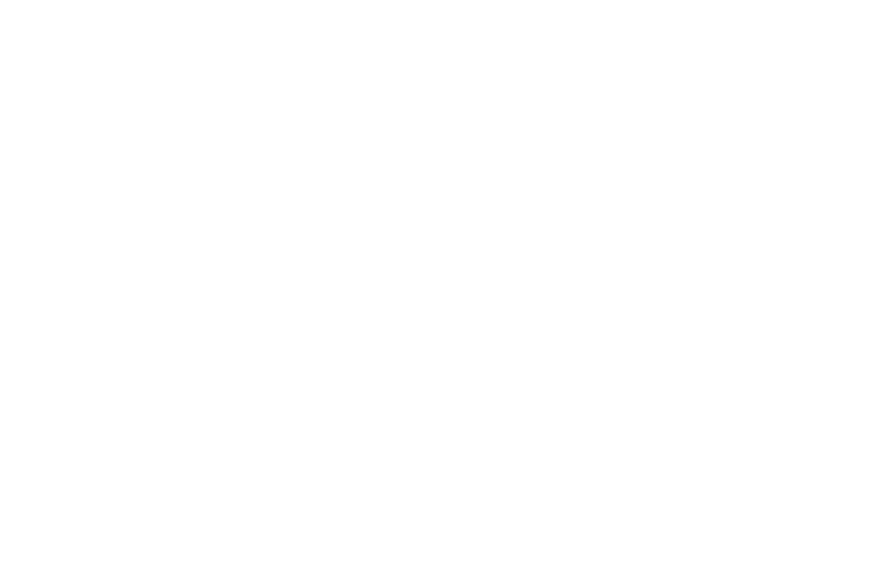 The Velvet Queen