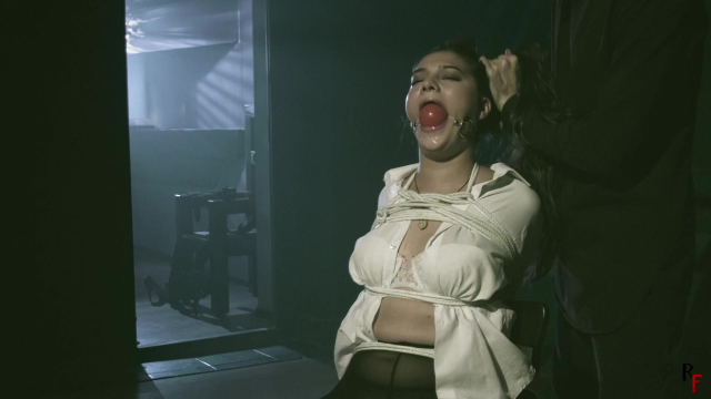 Secretary Xena Got Captured By Gag Maniac