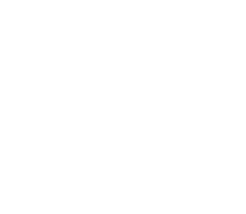 Evil Dead Burn