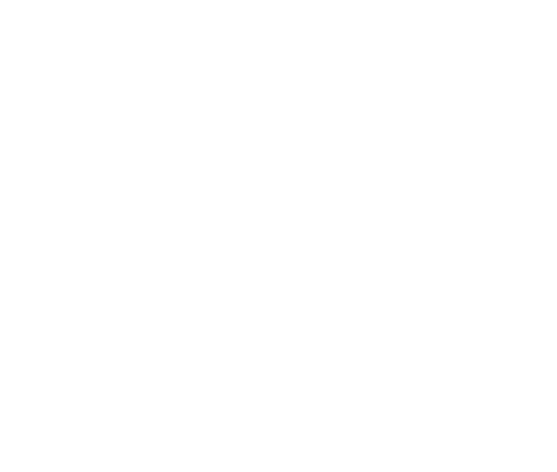 Three Identical Strangers