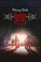 Stray Kids: The DominATE Experience