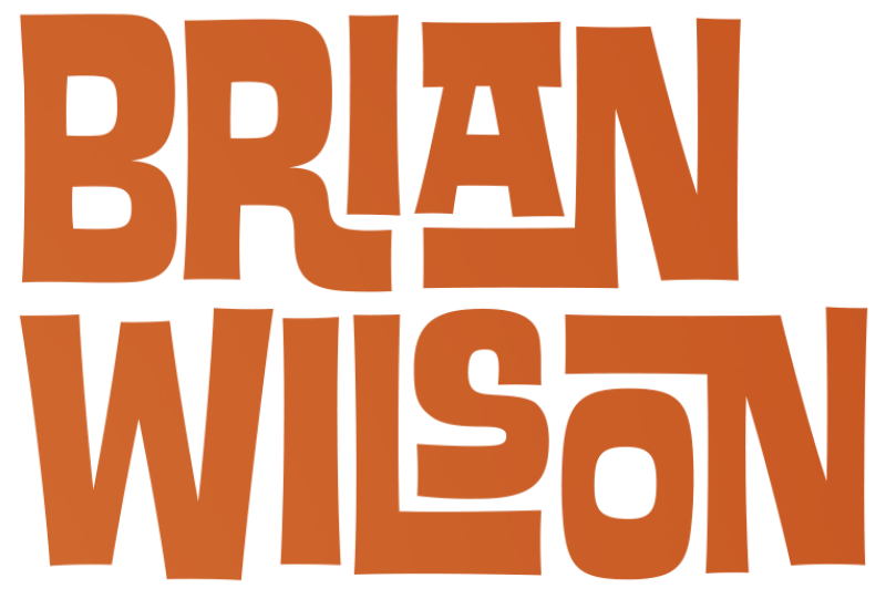 Brian Wilson: Long Promised Road