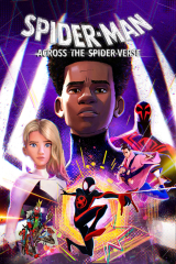 Spider-Man: Across the Spider-Verse (NL)