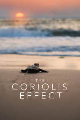 The Coriolis Effect