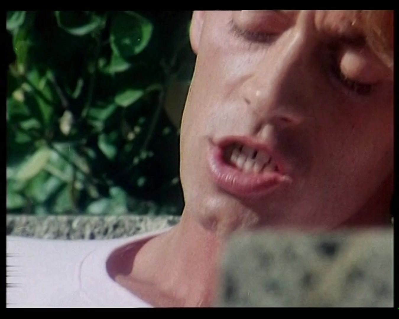 John Holmes Vs Rocco Siffredi