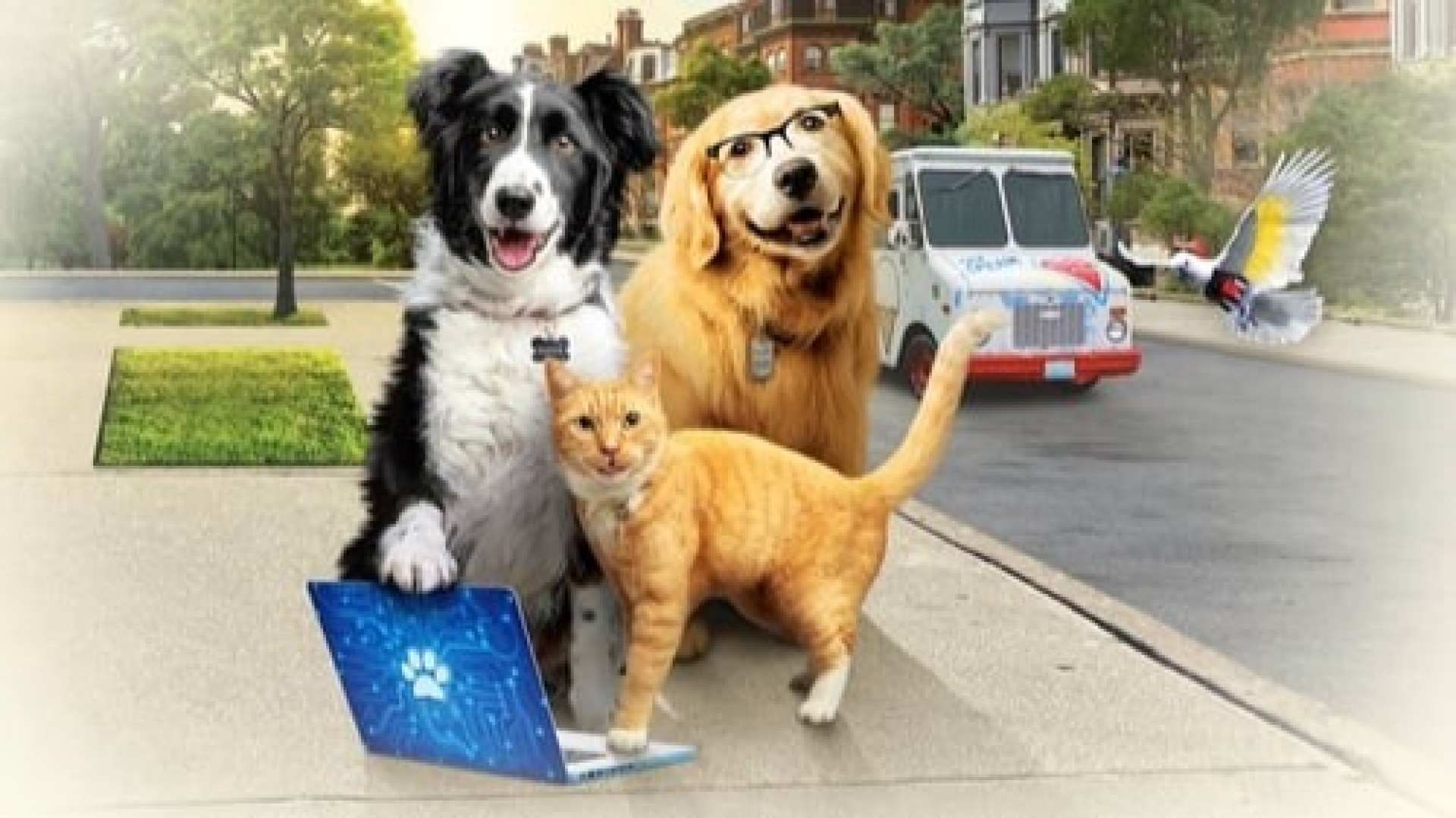 Cats & Dogs 3