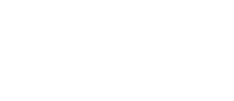 Donkey Days