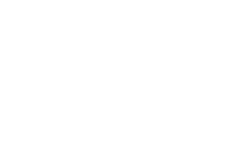 Spirit Untamed (NL)