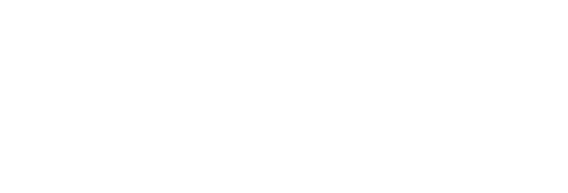 The Monkey