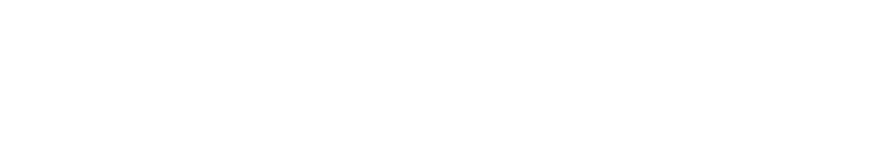 Dossier 137