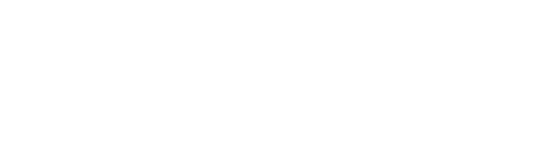 Crank: High Voltage