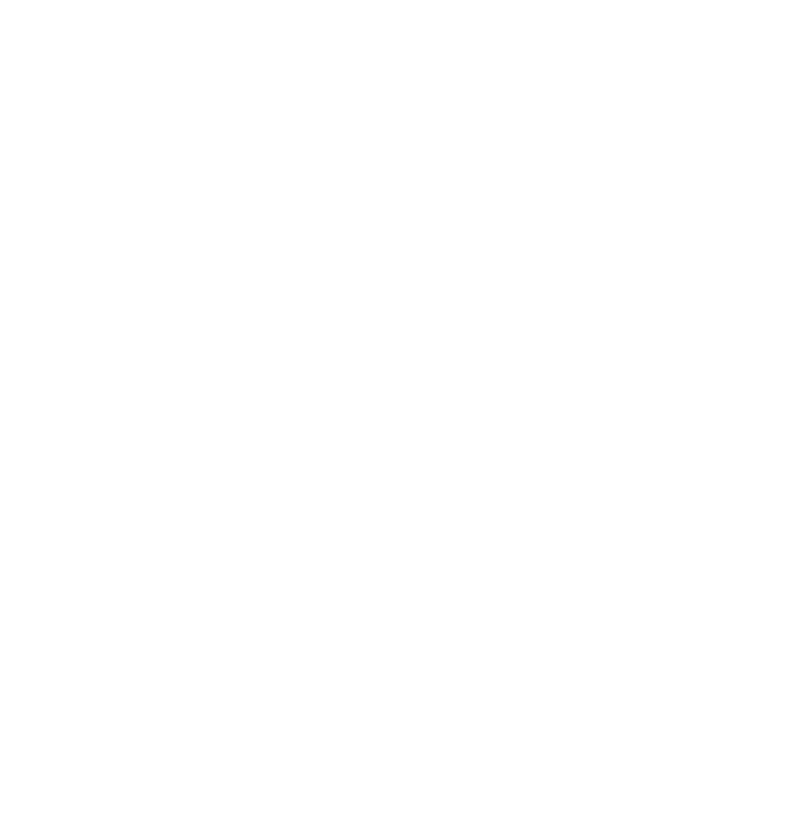 WiseGirls