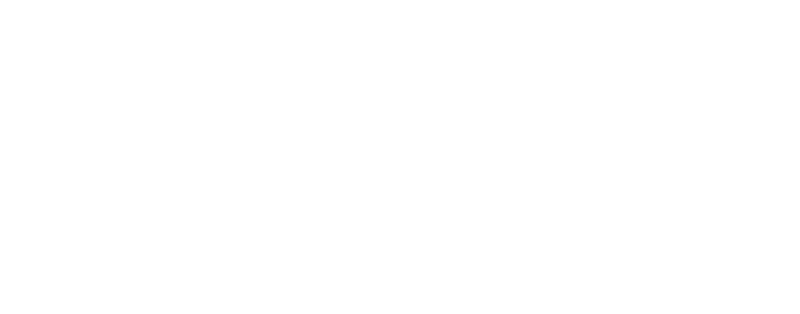 The Bay
