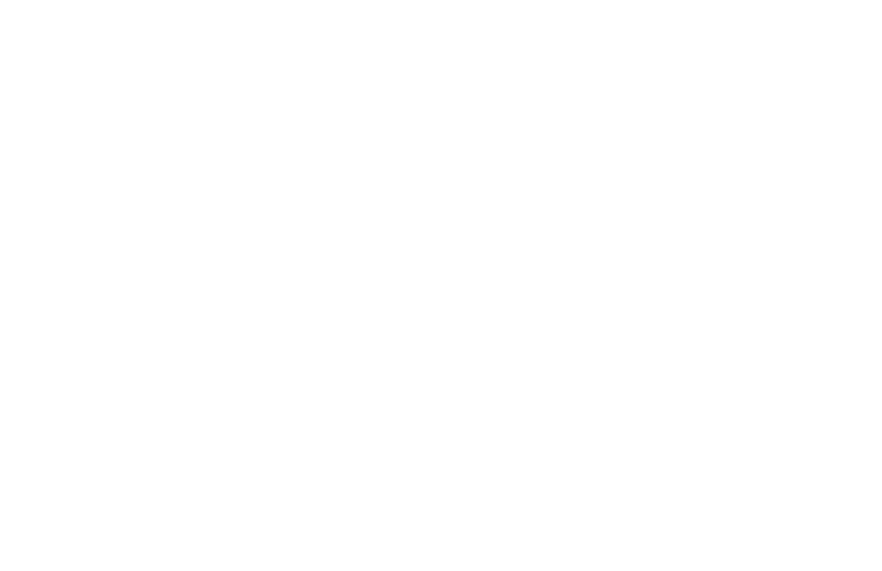 Bridget Jones: The Edge of Reason