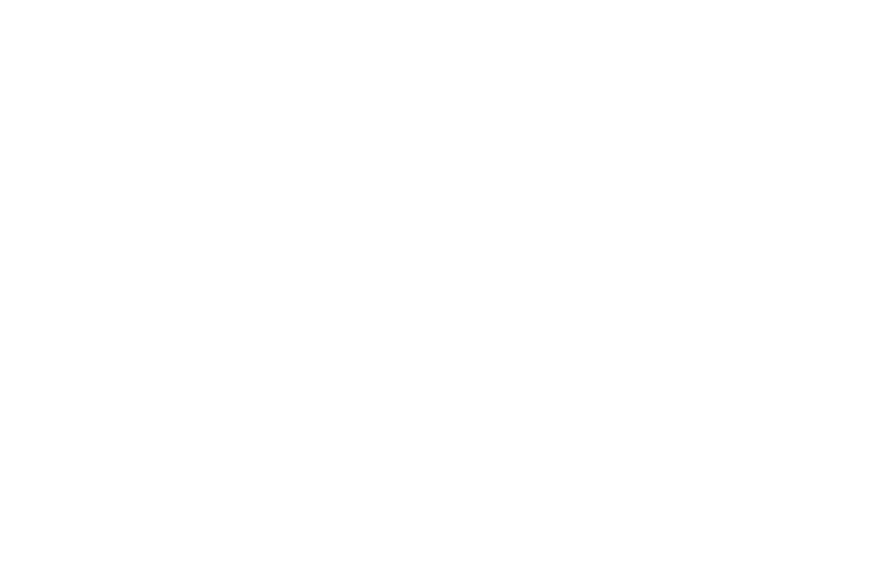 Pride