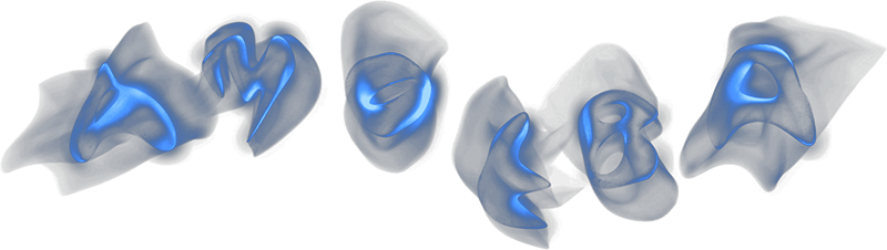 Amoeba