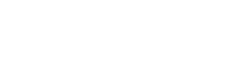 The First Purge