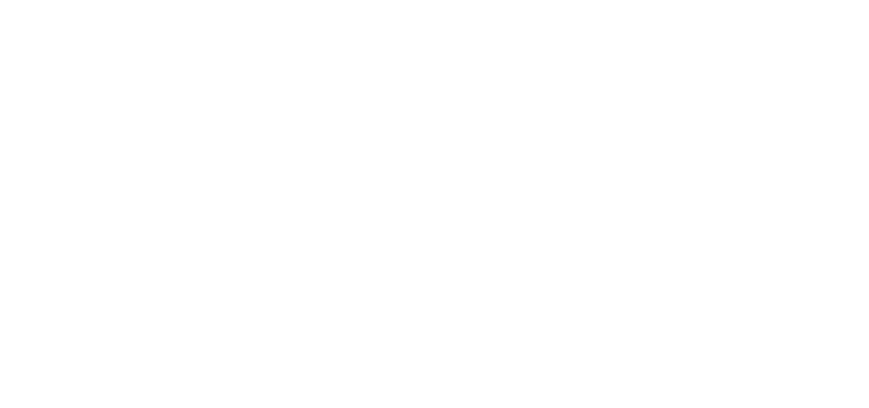 The Heat