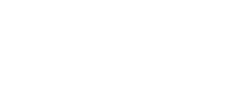 The Birthday Party