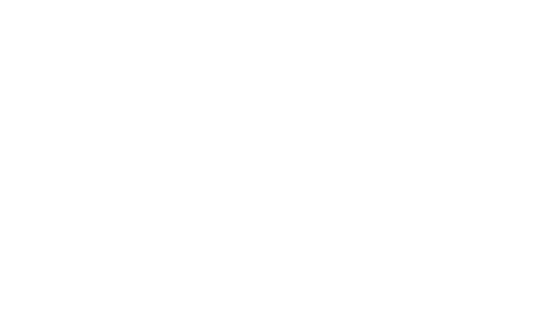 S.D.I. Secret Department of Intervention