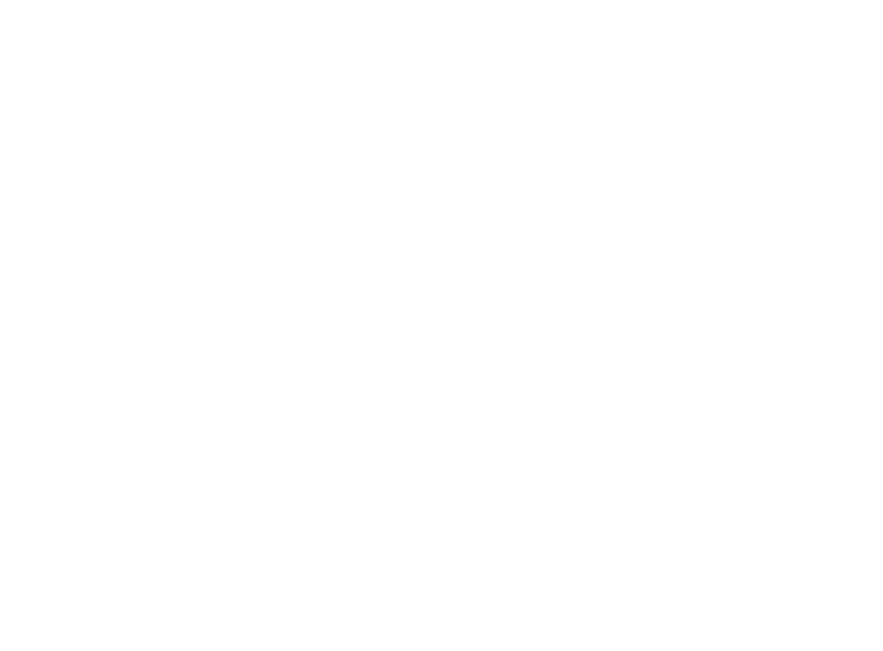 A Big Bold Beautiful Journey