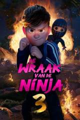 De Wraak van de Ninja 3