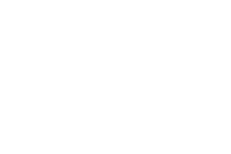 The Wolf, the Fox & the Leopard