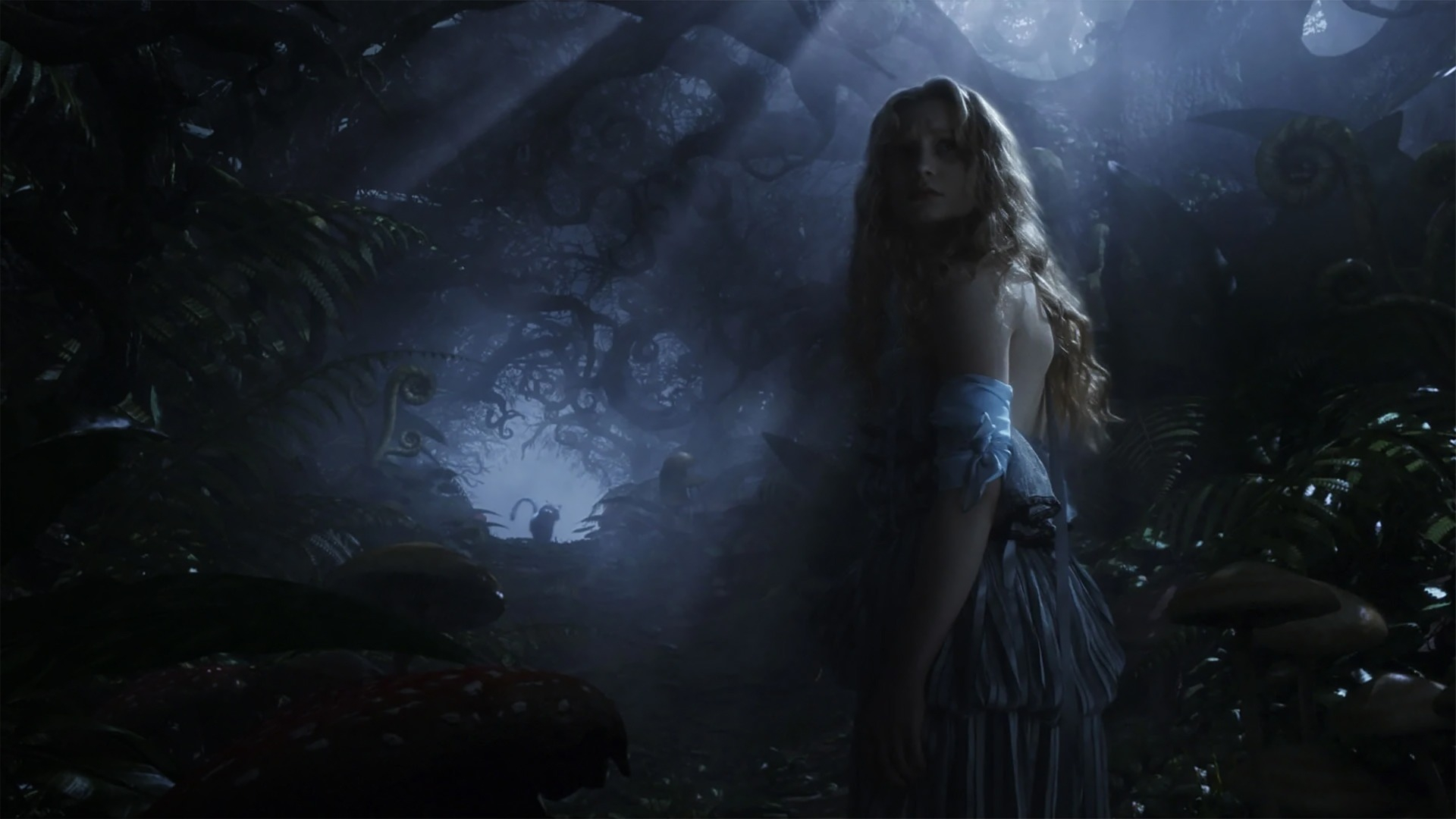 Alice in Wonderland (NL)