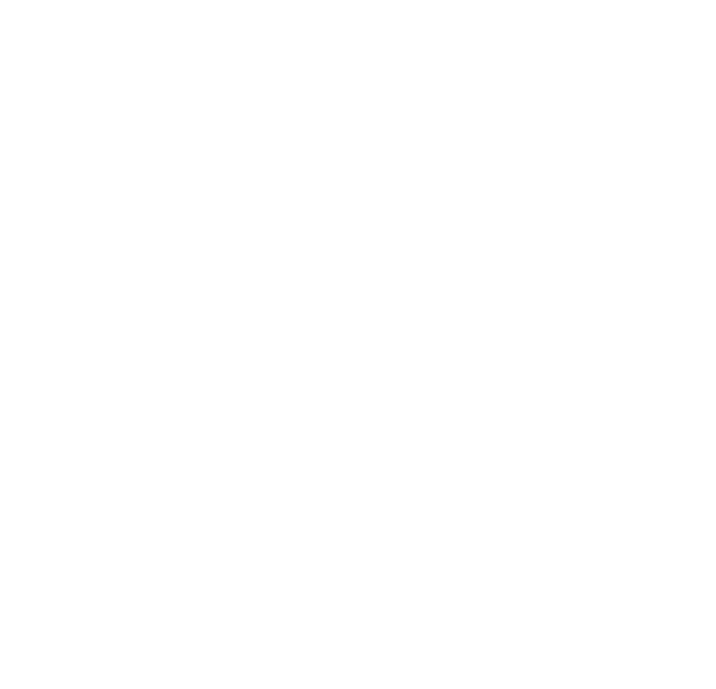 De Bad Guys 2 (NL)