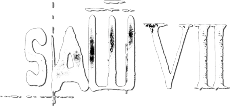 Saw VII