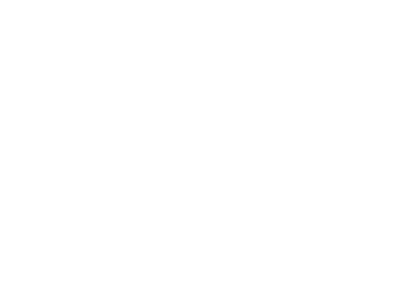 Beautiful Creatures