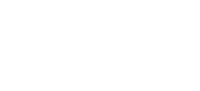 Silent Friend