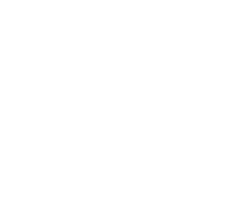 Bridget Jones's Diary