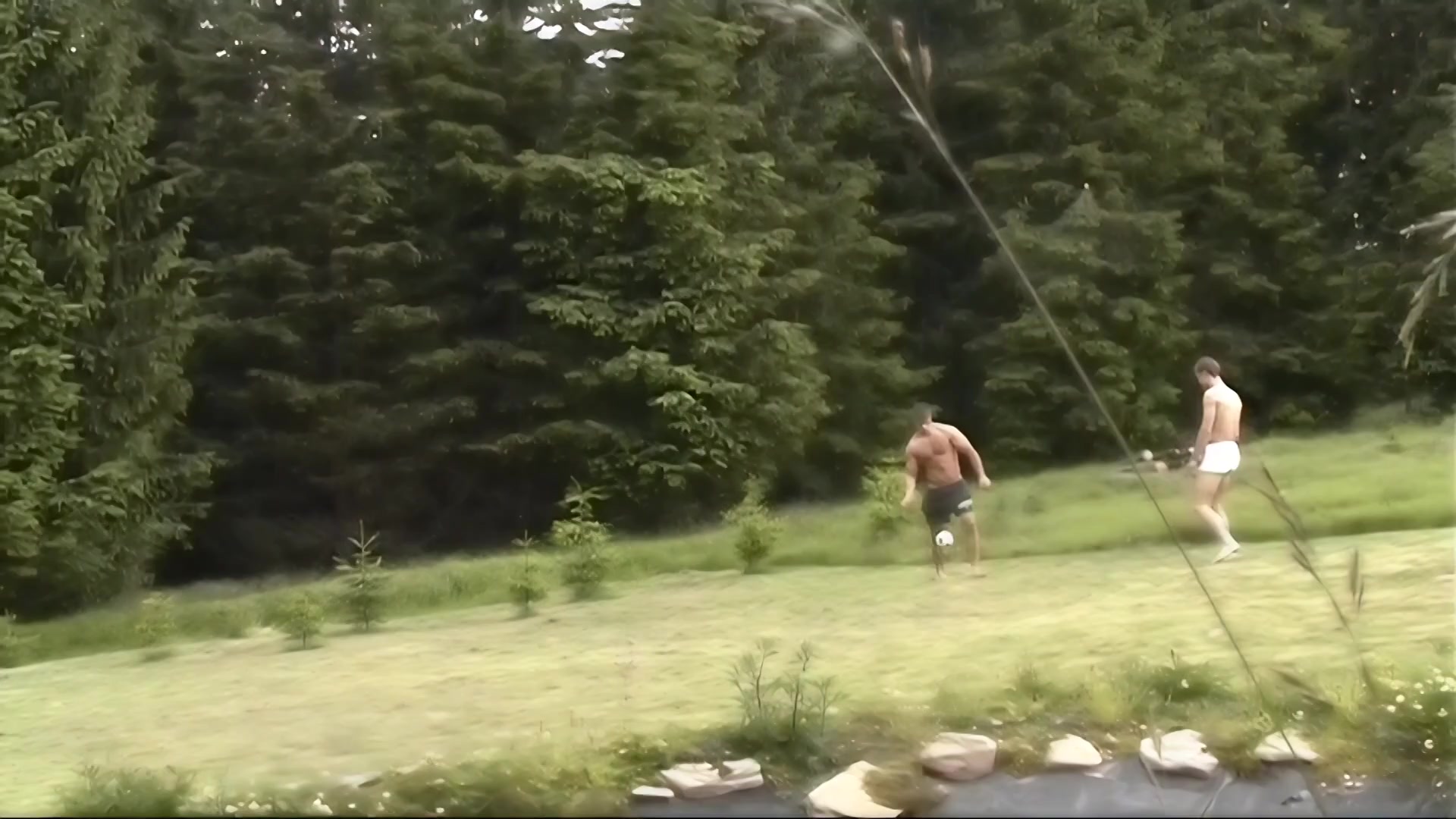 Spring Makes Us All Horny