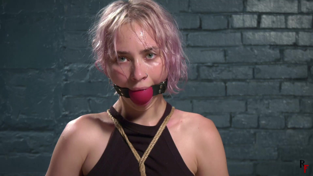 Gaya Is Restrained Elegantly and Kneels on the Turntable