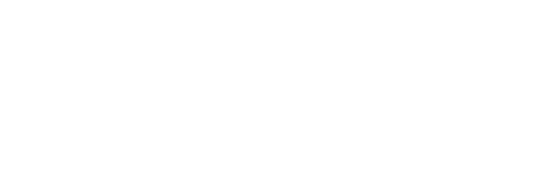 The Protg