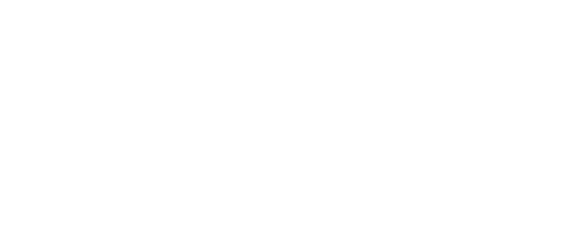 The Beekeeper