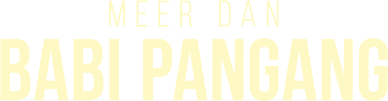 Meer Dan Babi Pangang