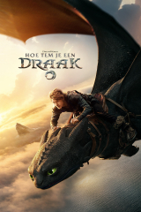 Hoe Tem Je een Draak