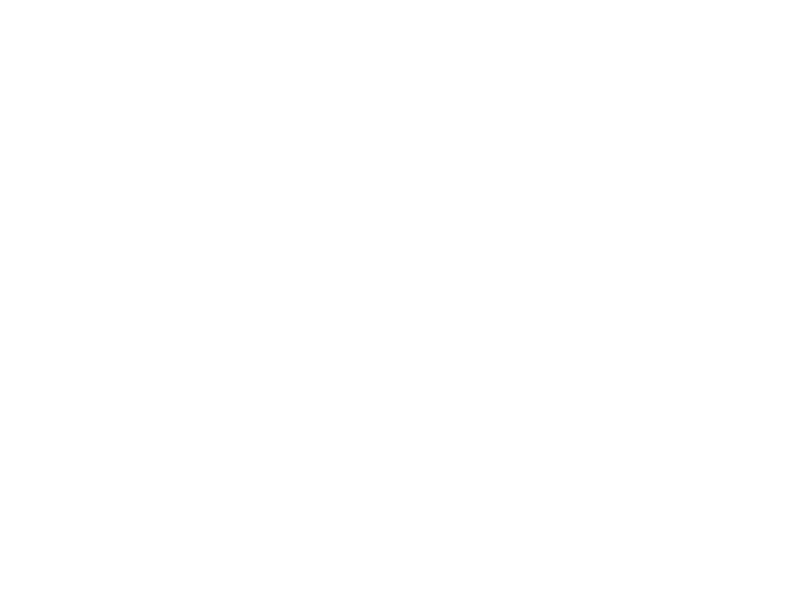 Ride Along