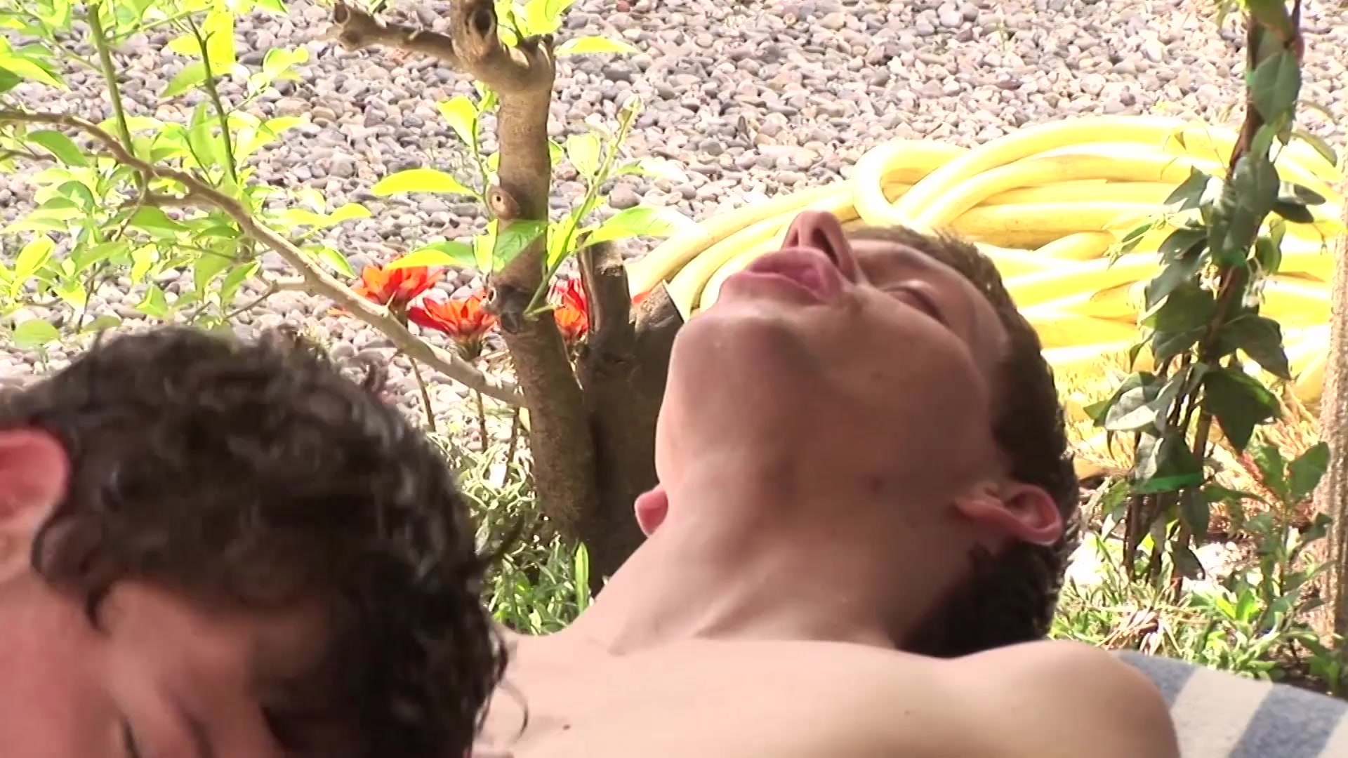 Young butts loving big cocks