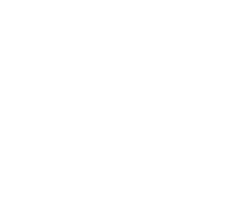 The First Slam Dunk