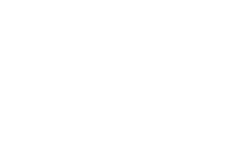 Irena's Vow