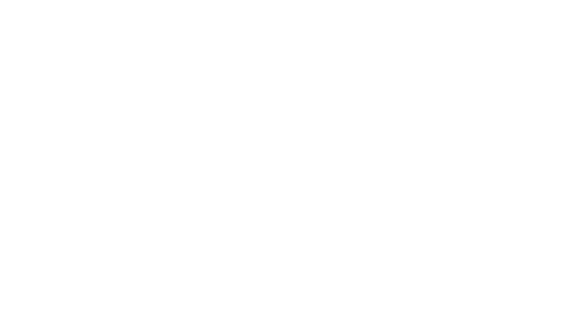 Killer Whale
