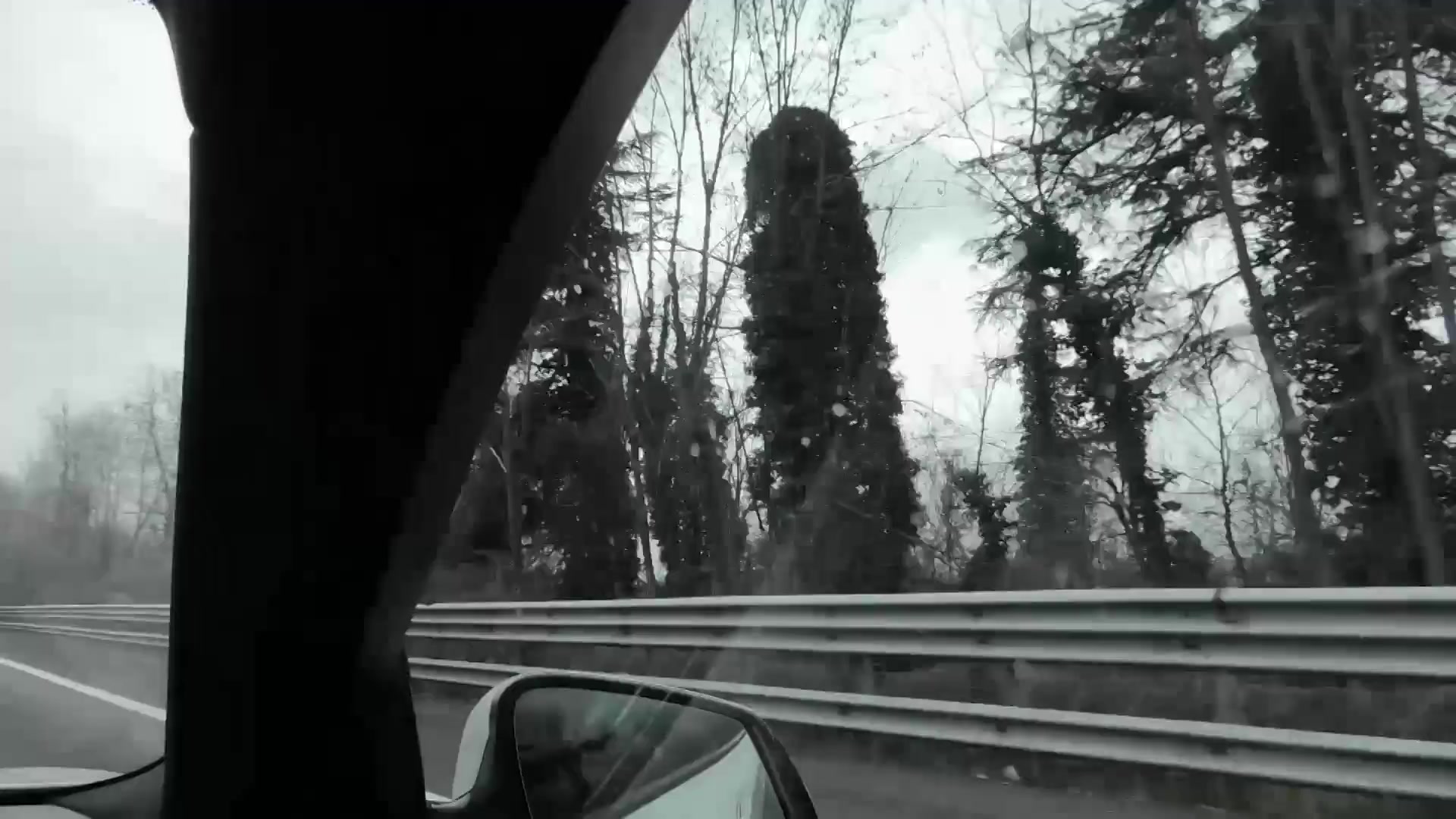 Tappi, Botti e Cavatappi