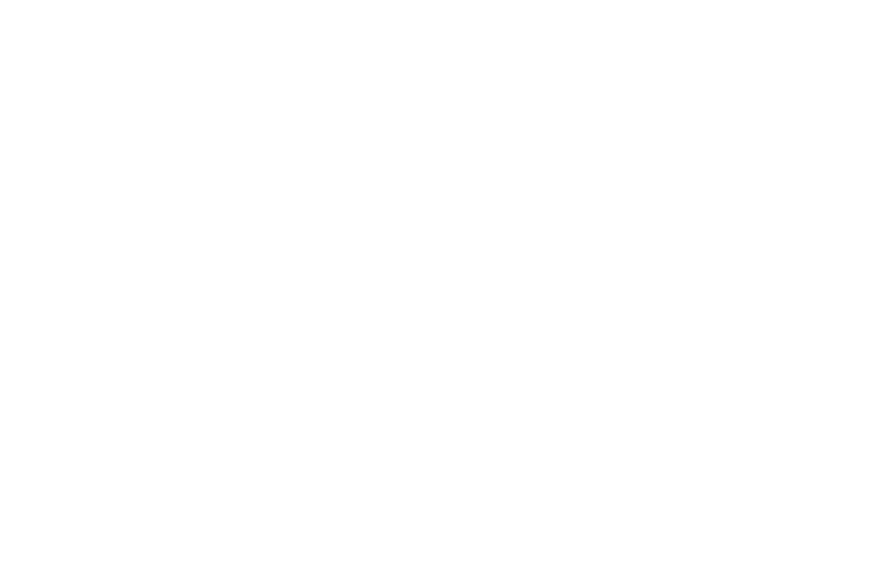 Spirit Untamed