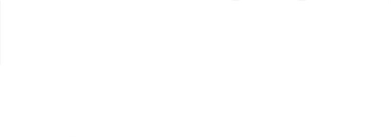 Brief History of a Family