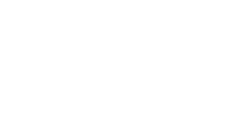 The Bad Guys 2