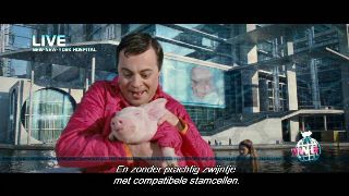 Mr Nobody